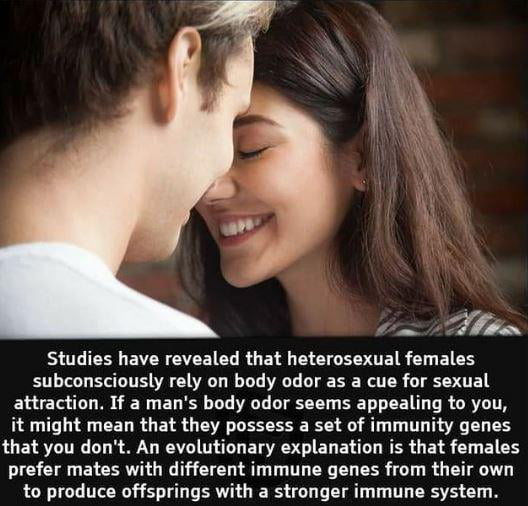 SIS EIERETTEICLR GBI B SO R S EIEH subconsciously rely on body odor as a cue for sexual ELCTo IR GEN L ELEL T L LI BT L T R GRYTTA it might mean that they possess a set of immunity genes LUEVSTTTIG LT B G A T O ERS IR BV NER G EL S 1 E1 S prefer mates with different immune genes from their own to produce offsprings with a stronger immune system