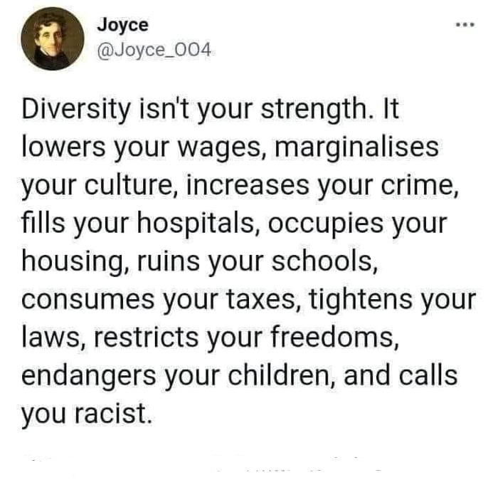 Joyce Joyce_004 Diversity isnt your strength It lowers your wages marginalises your culture increases your crime fills your hospitals occupies your housing ruins your schools consumes your taxes tightens your laws restricts your freedoms endangers your children and calls you racist