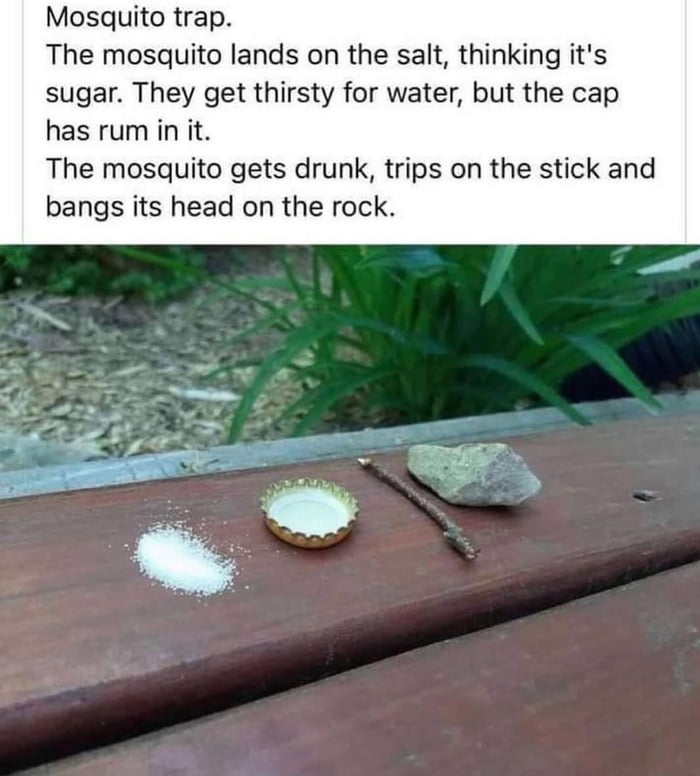 Mosquito trap The mosquito lands on the salt thinking its sugar They get thirsty for water but the cap has rum in it The mosquito gets drunk trips on the stick and bangs its head on the rock
