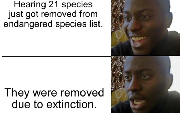 Hearing 21 species just got removed from endangered species list They were removed due to extinction