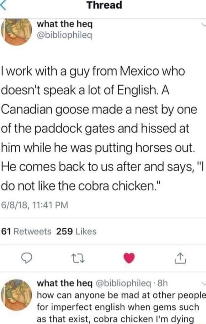 Thread what the heq bibliophileq I work with a guy from Mexico who doesnt speak a lot of English A Canadian goose made a nest by one of the paddock gates and hissed at him while he was putting horses out He comes back to us after and says I do not like the cobra chicken 6818 1141 PM 61 Retweets 259 Likes Q L 4 what the heq bibliophileq 8h how can anyone be mad at other people for imperfect english