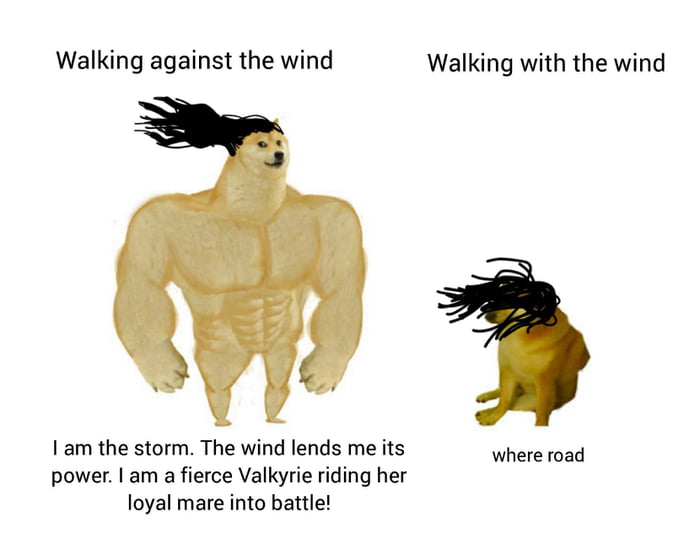 Walking against the wind Walking with the wind I am the storm The wind lends me its where foad power am a fierce Valkyrie riding her loyal mare into battle