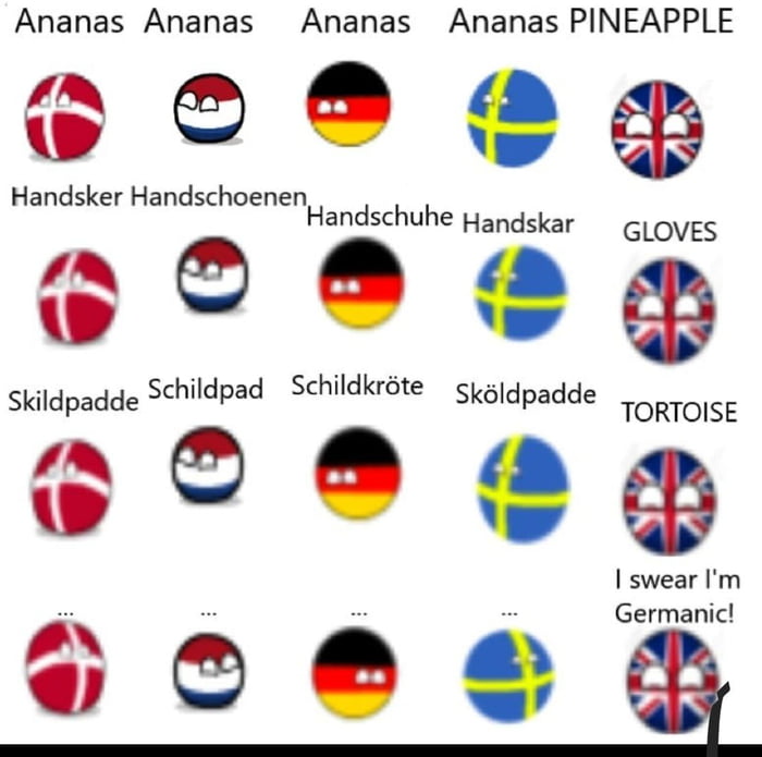 Ananas Ananas Ananas Ananas PINEAPPLE I X Handsker Handschoenen Handschuhe Handskar GLOVES L Schildpad Schildkrte 5 Skildpadde Mdpa Skldpadde TORTOISE O X K Germanic