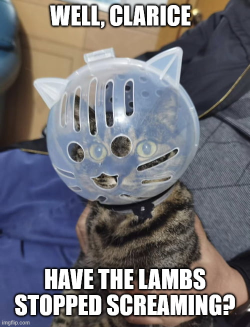 WELL, CLARICE HAVE THE LAMBS STOPPED SCREAMING?