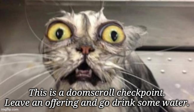 This is a doomscroll checkpoint. Leave an offering and go drink some water.