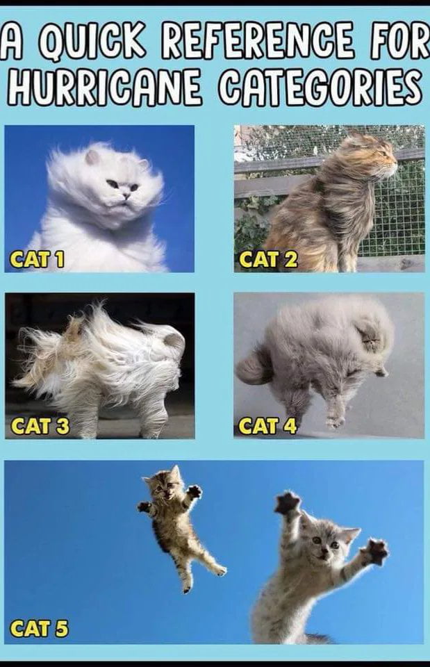 A QUICK REFERENCE FOR HURRICANE CATEGORIES CAT 1 CAT 2 CAT 3 CAT 4 CAT 5