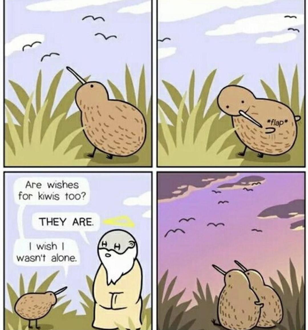 Are wishes for kiwis 1007 THEY ARE