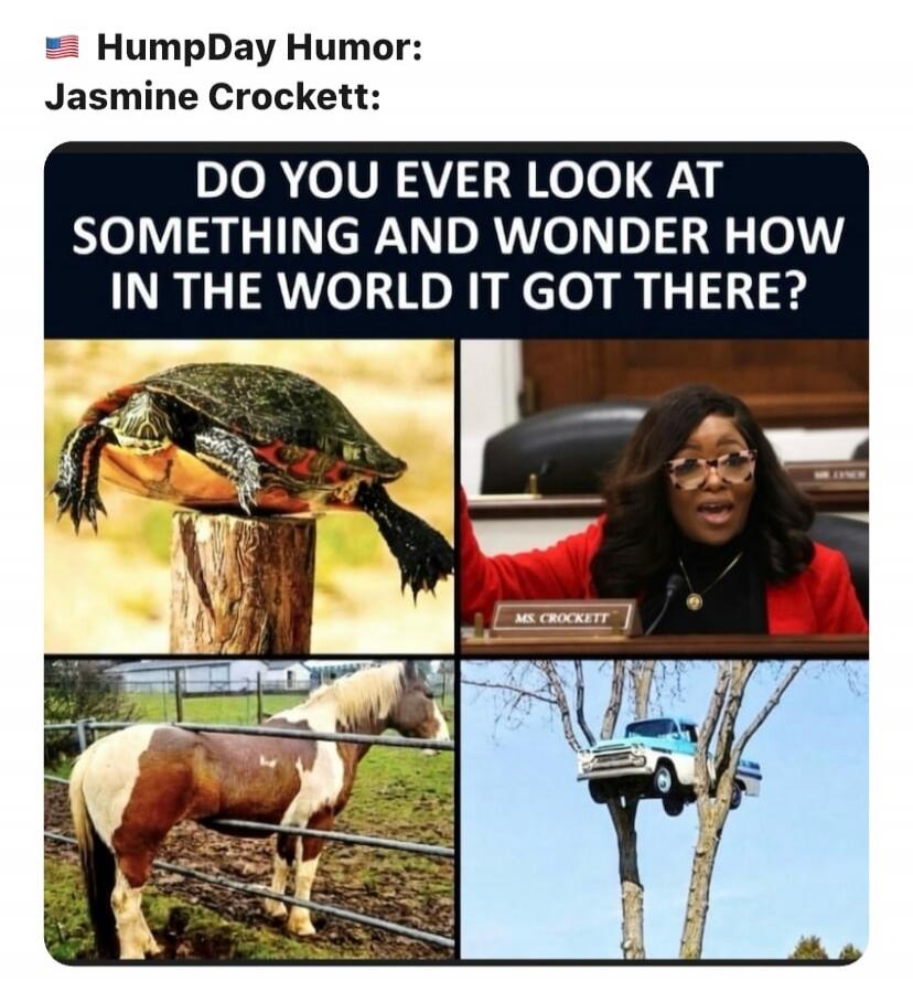 HumpDay Humor: Jasmine Crockett: DO YOU EVER LOOK AT SOMETHING AND WONDER HOW IN THE WORLD IT GOT THERE? MS. CROCKETT