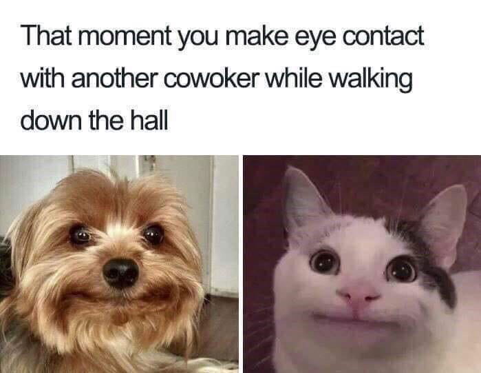 That moment you make eye contact with another cowoker while walking down the hall