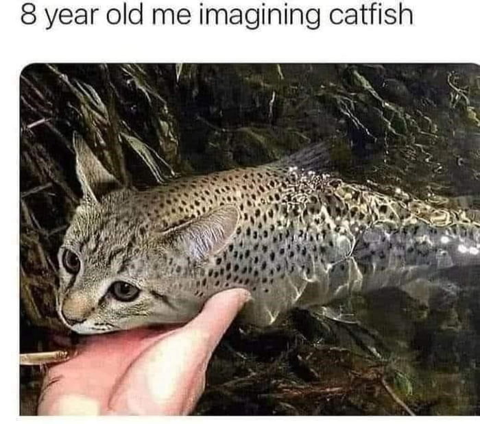 8 year old me imagining catfish