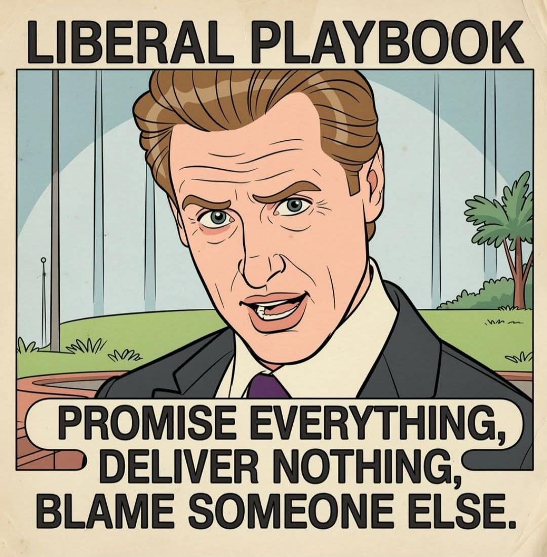 LIBERAL PLAYBOOK PROMISE EVERYTHING, DELIVER NOTHING, BLAME SOMEONE ELSE.