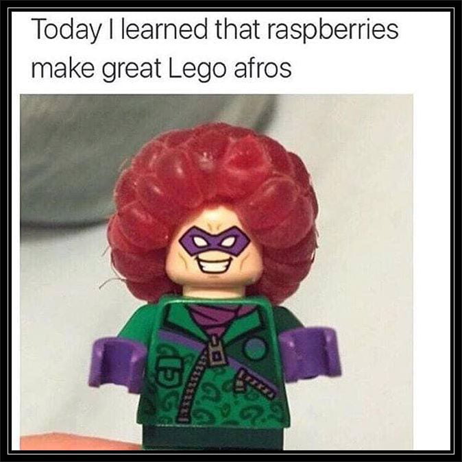 Today learned that raspberries make great Lego afros