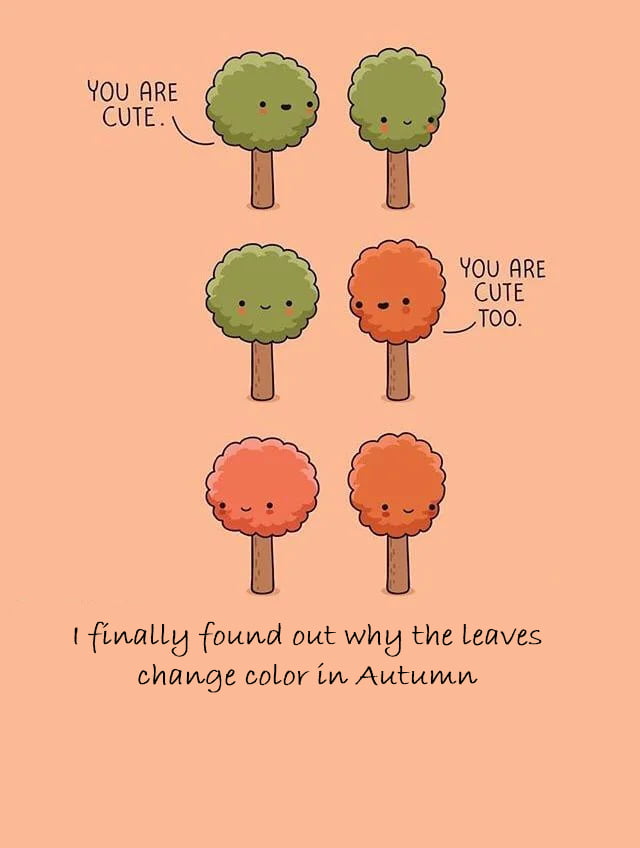 Y0U ARE QUTE_ Y0U ARE CUTE _Too t finally found out why the Leaves change color in Autumn