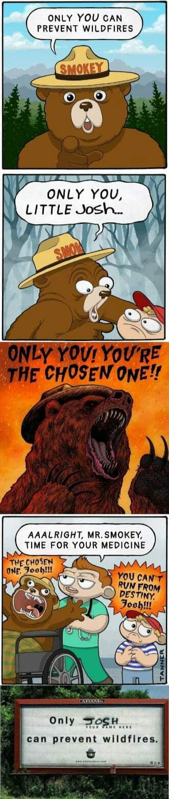 ONLY YOU CAN PREVENT WILDFIRES ONLY YOU LITTLE Josh AAALRIGHT MRSMOKEY TIME FOR YOUR MEDICINE