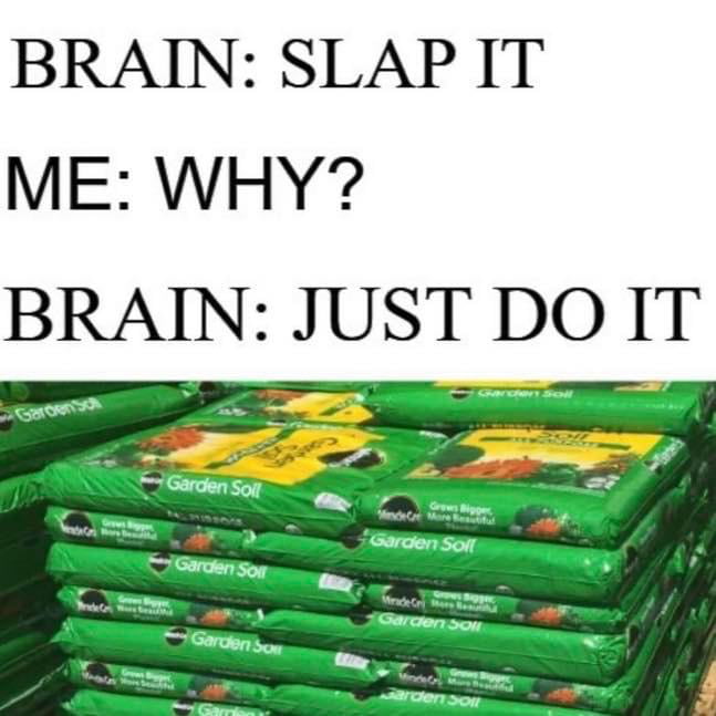 BRAIN SLAP IT ME WHY BRAIN JUST DO IT oo e S