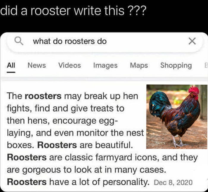 ele N el CIAWHI GRS what do roosters do X Al News Videos Images Maps Shopping The roosters may break up hen fights find and give treats to then hens encourage egg laying and even monitor the nes boxes Roosters are beautiful Roosters are classic farmyard icons and they are gorgeous to look at in many cases Roosters have a lot of personality