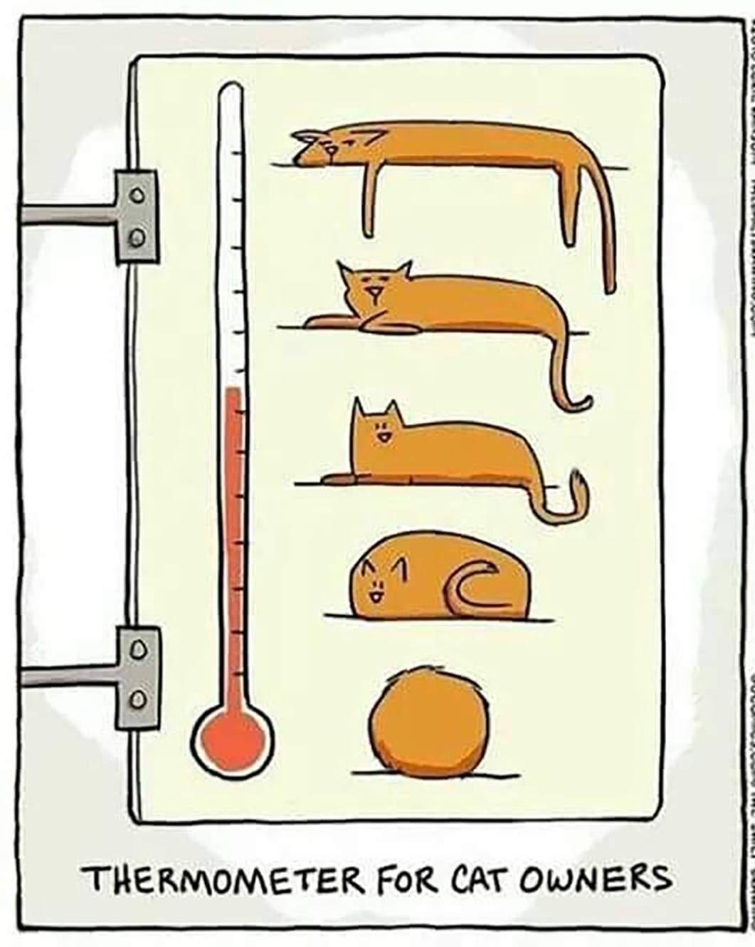 THERMOMETER FoR CAT OWNERS