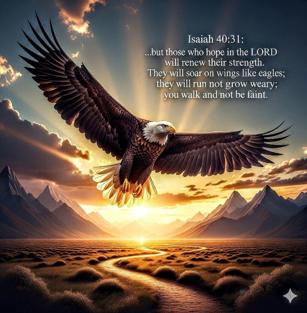 Isaiah 40:31: ...but those who hope in the LORD will renew their strength. They will soar on wings like eagles; they will run not grow weary; you walk and not be faint.