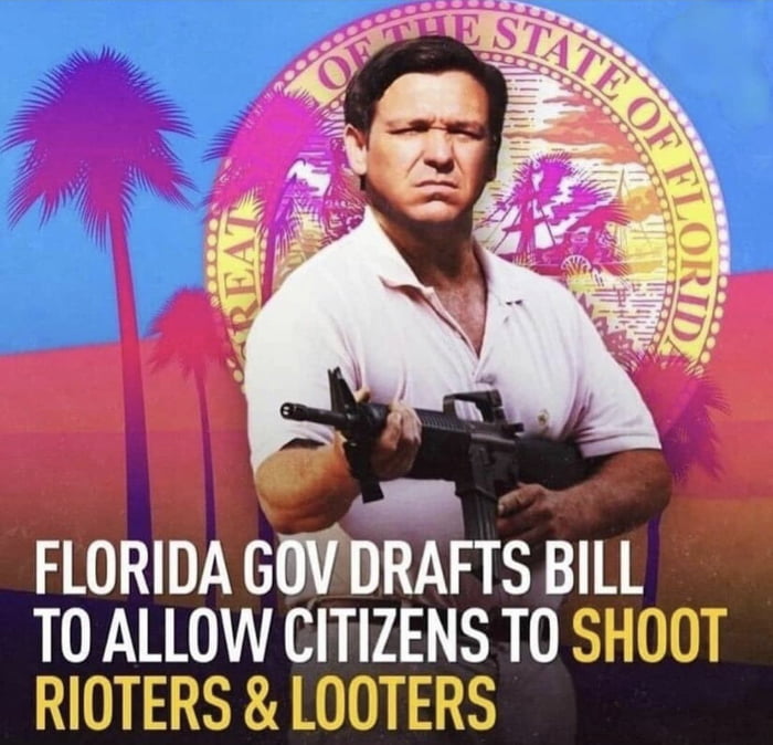 p P o O FLORIDA GOVDRAFTS BILL TO ALLOW CITIZENS TO SHOOT RIOTERS LOOTERS