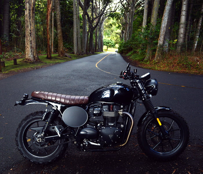A vintage-style black motorcycle with a brown seat parked on a forest road.