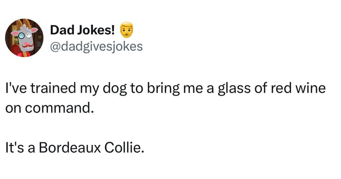 Dad Jokes! I've trained my dog to bring me a glass of red wine on command. It's a Bordeaux Collie.