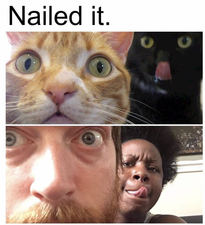 Nailed it.