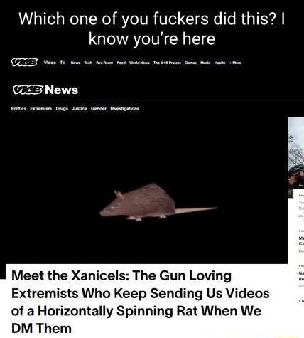 VLTI W1 TN o R TTR VT CIEN e RGIEYA know youre here CTED e i ok i T S o e i CCZF News Meet the Xanicels The Gun Loving Extremists Who Keep Sending Us Videos of a Horizontally Spinning Rat When We M Them