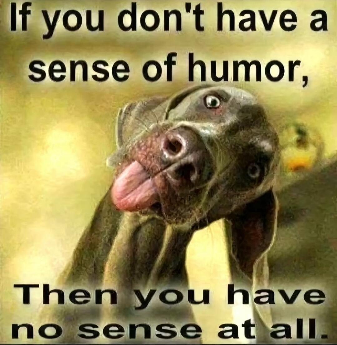 If you don't have a sense of humor, Then you have no sense at all.