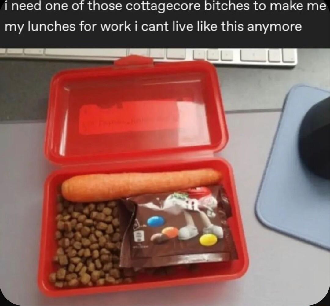 LUCE IR g GleElReleucle Delel R TL l TER R ELCR my lunches for work i cant live like this anymore