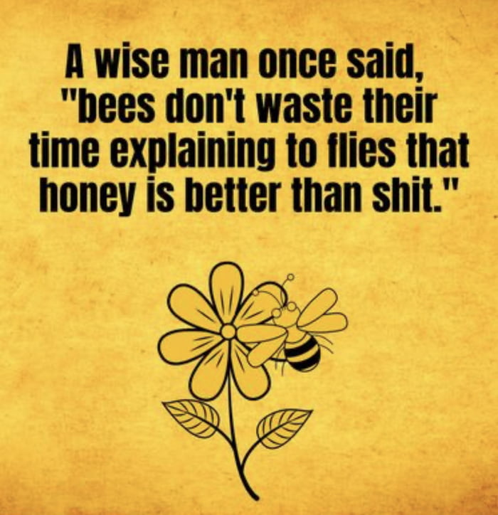 A wise man once said hees dont waste their time explaining to flies that honey is better than shit