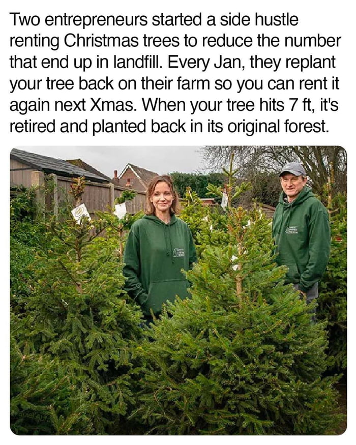 Two entrepreneurs started a side hustle renting Christmas trees to reduce the number that end up in landfill Every Jan they replant your tree back on their farm so you can rent it again next Xmas When your tree hits 7 ft its retired and planted back in its original forest