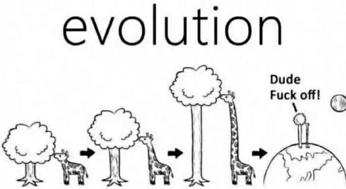 evolution off G K FUC L 2