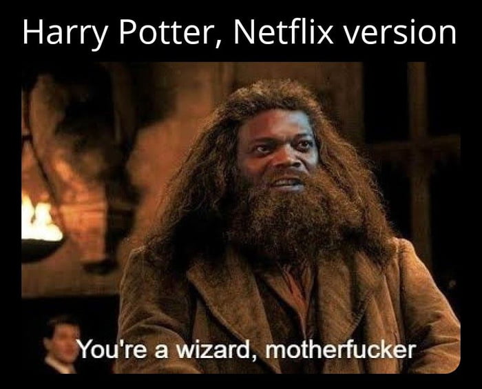 Harry Potter Netflix version T 25N i Youre a wizard motherfuclger