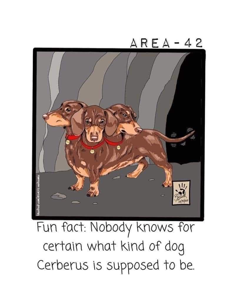 AREA 42 Fun fact Nobody knows for certain what kind of dog Cerberus is supposed 1o be