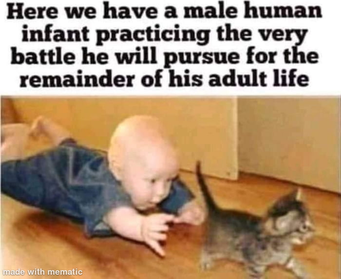 Here we have a male human infant practicing the ve battle he will pursue for the remainder of his adult life