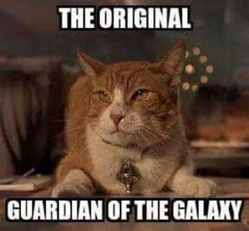 LT 1 o o Ve GUARDIAN OF THE GALAXY