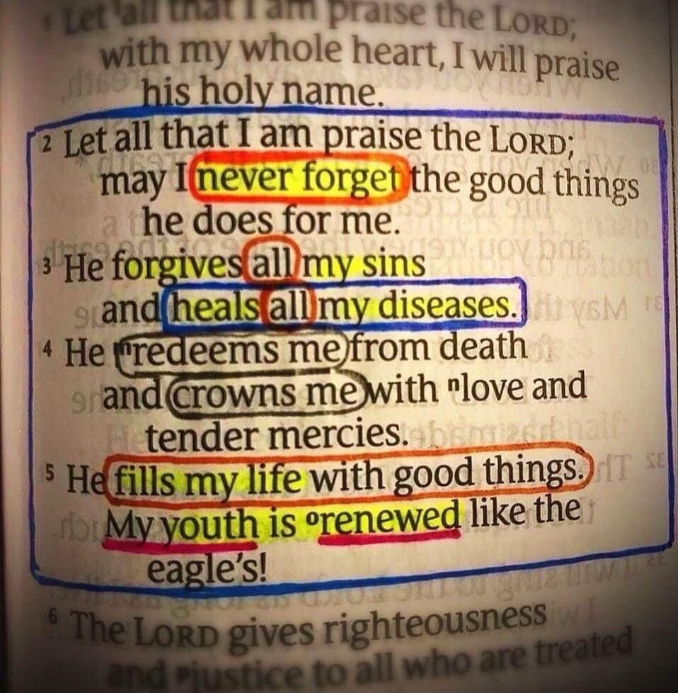 Let all that I am praise the LORD; with my whole heart, I will praise his holy name. 2 Let all that I am praise the LORD; may I never forget the good things he does for me. 3 He forgives all my sins and heals all my diseases. 4 He redeems me from death and crowns me with love and tender mercies. 5 He fills my life with good things. My youth is rene