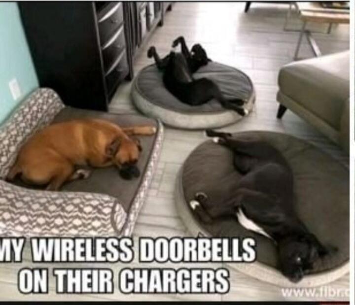 MY WIRELESS DOORBELLS ON THEIR CHARGERS