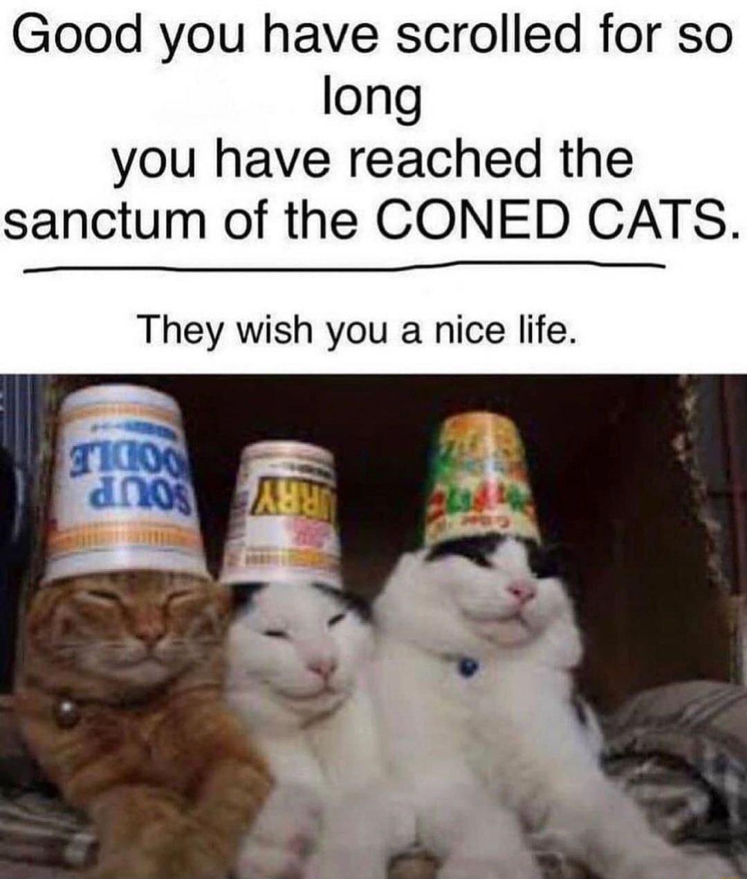 Good you have scrolled for so long you have reached the sanctum of the CONED CATS They wish you a nice life