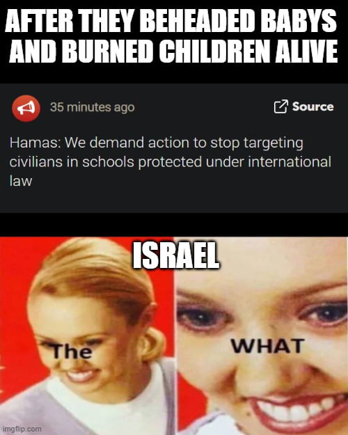 AFTER THEY BEHEADED BABYS AND BURNED CHILDREN ALIVE 9 35 minutes ago Hamas We demand action to stop targeting civilians in schools protected under international law