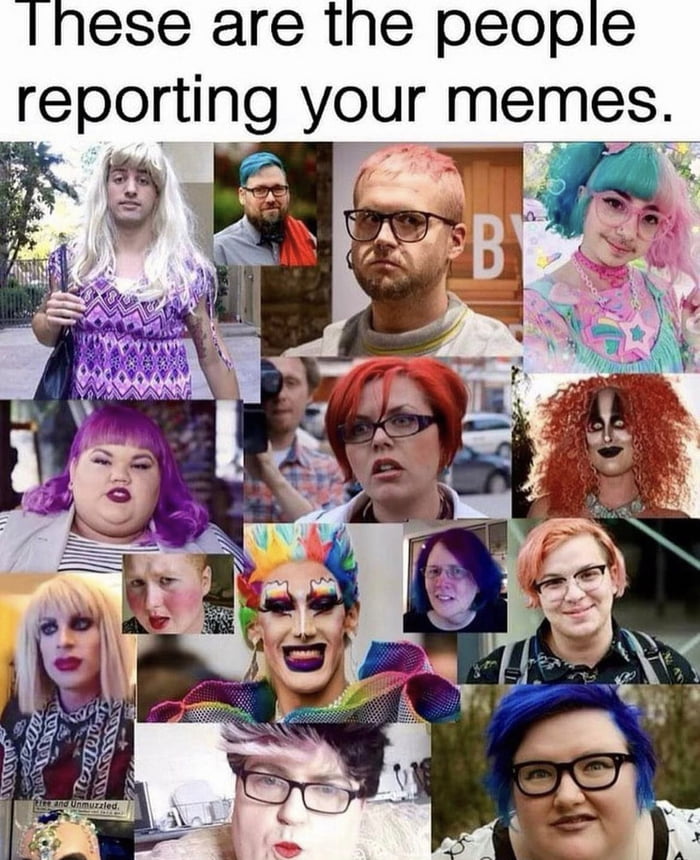 Inese are the people reportmg your memes