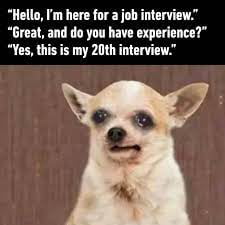 Hello Im here for a job interview Great and do you have experience Yes this is my 20th interview
