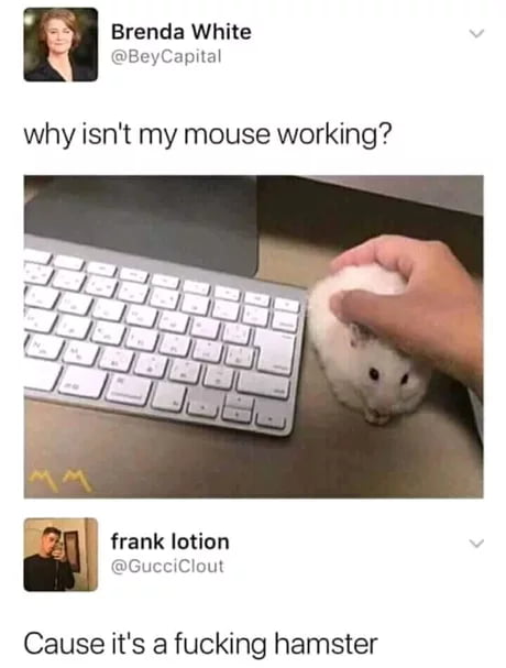 v Brenda White apital why isnt my mouse working F frank lotion GucciClout Cause its a fucking hamster