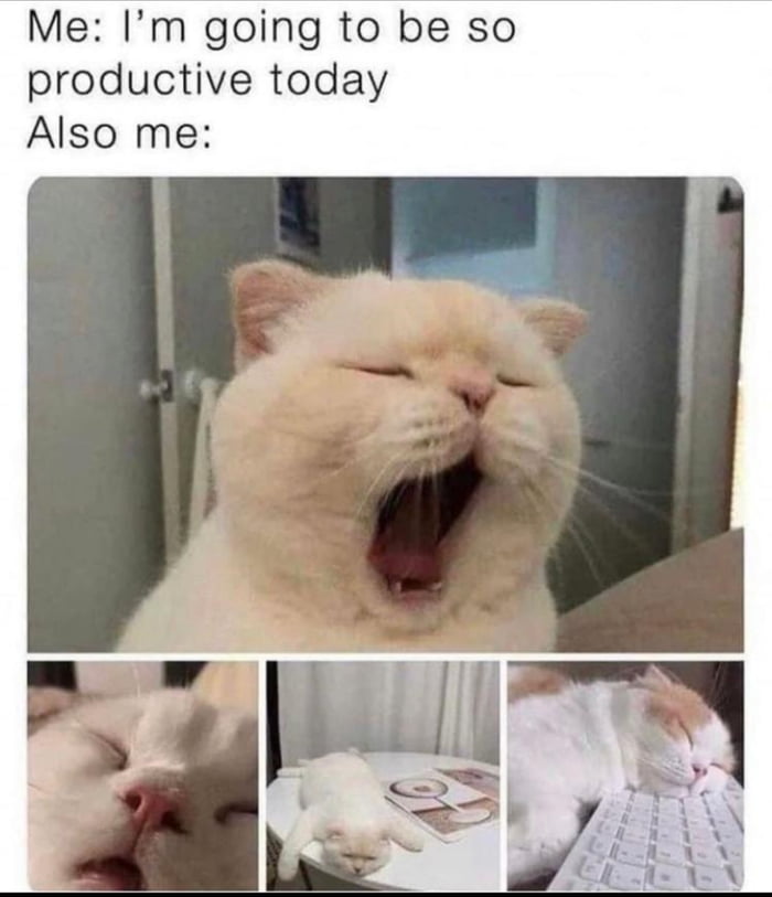 Me Im going to be so productive today Also me