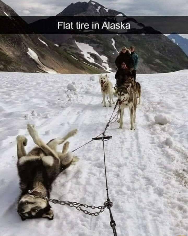 Flat tire in Alaska i