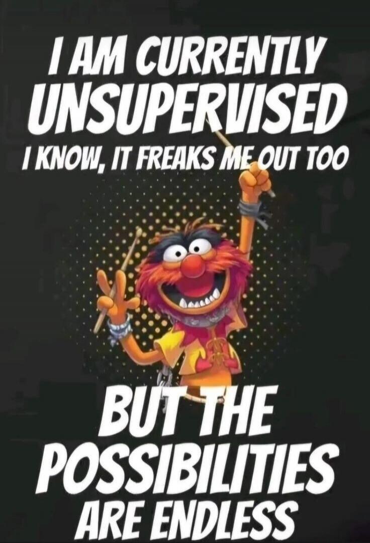 I AM CURRENTLY UNSUPERVISED I KNOW, IT FREAKS ME OUT TOO BUT THE POSSIBILITIES ARE ENDLESS