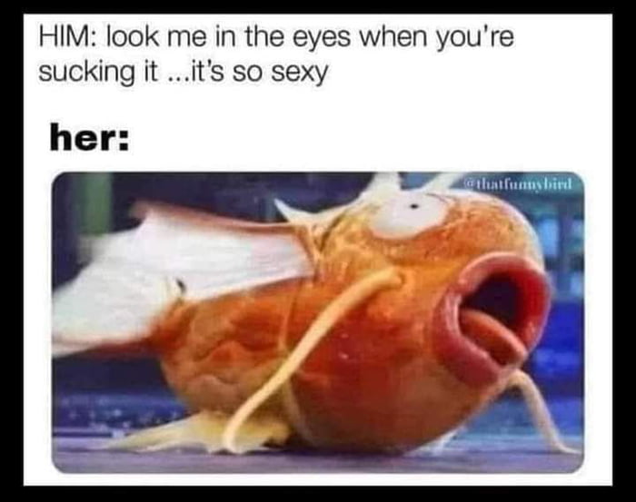 HIM look me in the eyes when youre sucking it its so sexy her