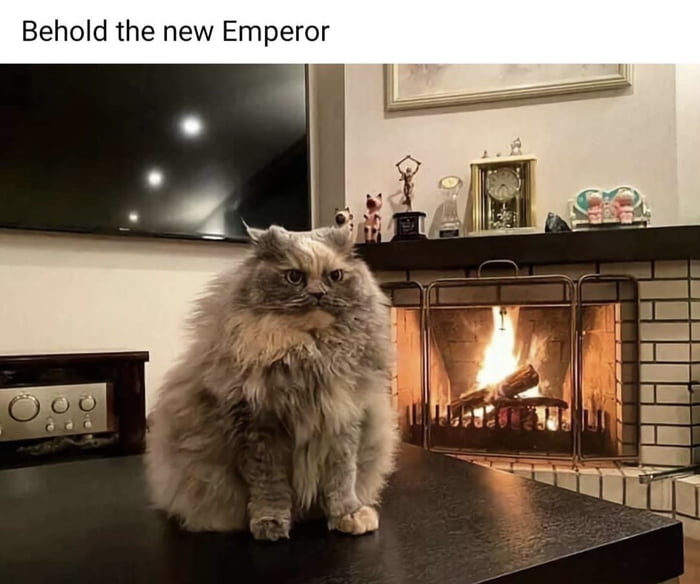 Behold the new Emperor