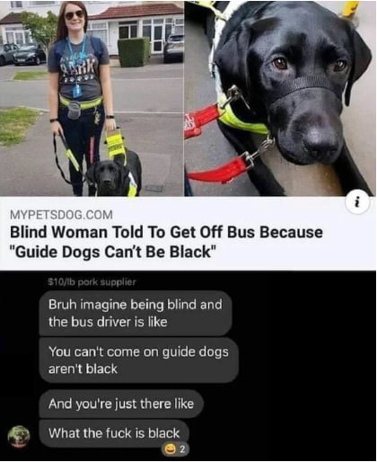 Blind Woman Told To Get Off Bus Because Guide Dogs Cant Be Black Bruh imagine being blind and the bus driver is like You cant come on guide dogs ELCOIETS And youre just there like What the fuck is black 2