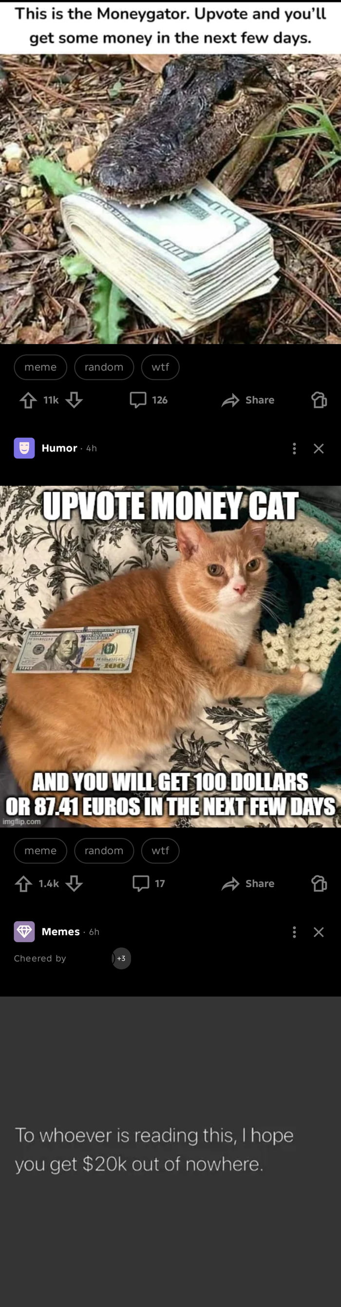 This is the Moneygator. Upvote and you'll get some money in the next few days. UPVOTE MONEY CAT AND YOU WILL GET 100 DOLLARS OR 87.41 EUROS IN THE NEXT FEW DAYS. To whoever is reading this, I hope you get $20k out of nowhere.